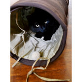 Pet Fun Tunnel