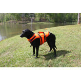 Dog Life Jacket