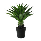32" Artificial Crown Cactus Plant