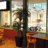 48" Artificial Golden Cane Areca Palm