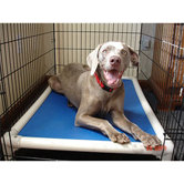Chew-Proof Dog Beds
