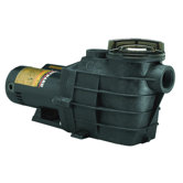 Dual Speed Super II Pump without Switch