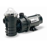 Dynamo Single Speed Above Ground Pool Pump