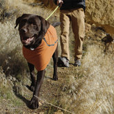 Climate Changer Fleece Dog Jacket