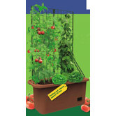 VegePatch