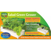 Salad Green Grower