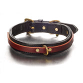 Tucker Overlay Dog Collar