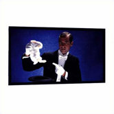 SilverStar Fixed Frame Screen - 48" x 48" AV Format