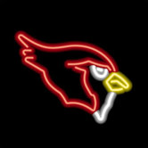 NFL Team Logo Neon Sign