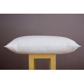 New Goose Feather and Down Pair Pillow in White