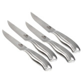 Insignia Steel 4 Piece Steak Knife Set