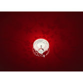 Shining Wonderland Wall/Ceiling Light