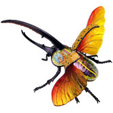 4D-Vision Hercules Beetle Anatomy Model