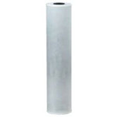 AP817-2 Whole House Water Filter