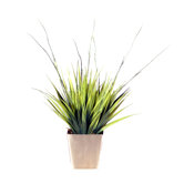 Floral 12" Artificial Potted Grass in Green