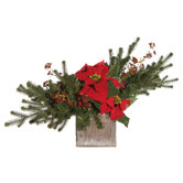 Floral Artificial Potted Pine Branch and Velvet Poinsettia in Red and Green