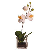 Floral Orchid in Square Vase