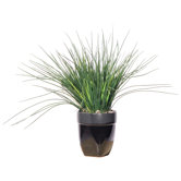 Floral Grass