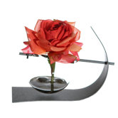 Floral Single Rose