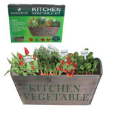 Kitchen Vegetable Planter