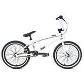 Boy's 20.25" DK Legend BMX Bike