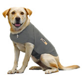 Thundershirt for Dogs
