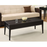 Storage Coffee Table