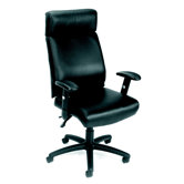 Caressoft High-Back Executive Chair