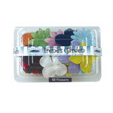 Irene's Garden O'Blooms Flower Box (Set of 50)