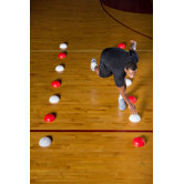 Agility Dome Set
