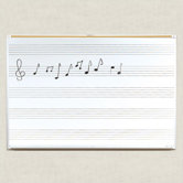 Porcelain Lifetime Music Boards 4' x 8'
