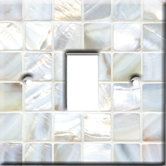 Shell Switch Cover in White