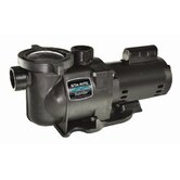 115/230V StaRite Super Max Pool Pump Set