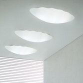 Nubia PP63 Wall/Ceiling Light