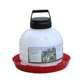 Top Fill Poultry Fountain