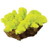 6.3" H Design Elements Coral Aquarium Ornament