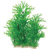 Natural Elements Antler Fern Combo Aquarium Ornament in Green