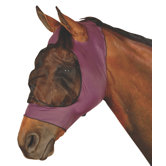 Horse Supplies