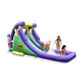 Double Water Slide