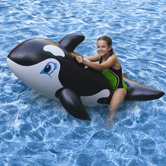 Whale Jumbo Rider
