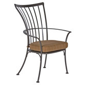 Monterra Dining Arm Chair with Cushion