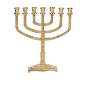 7 Branches Menorah