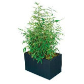 Kenji Rectangular Planter Box