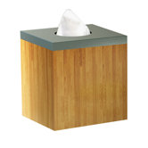 Ageless Boutique Tissue Holder