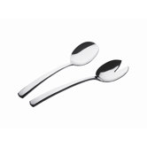 Swing 2 Piece Salad Set in Mirror