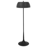 Ryan 2 Light Floor Lamp
