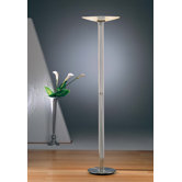 2 Light Tall Floor Lamp