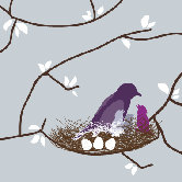 Imagination - Bird Nest Stretched Wall Art