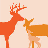 Animal - Deer Stretched Wall Art