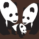 Animal - Three Pandas Stretched Wall Art